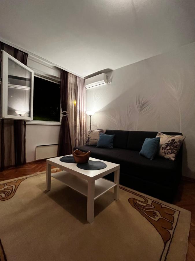 Apartman Sasha 2 Beograd Bagian luar foto