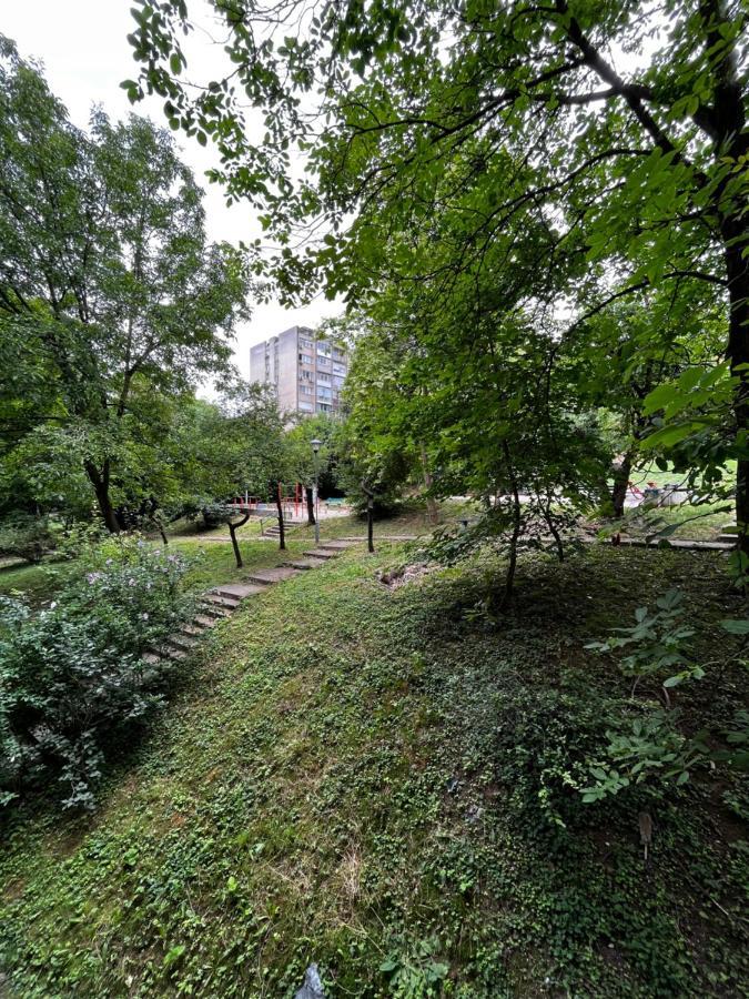 Apartman Sasha 2 Beograd Bagian luar foto